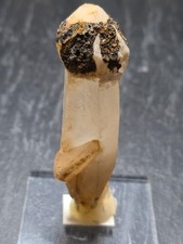 Zepterquarz Kristall mit Sphalerit Kappe auf Sockel Cavnic Rum&auml;nien Mineral 8cm