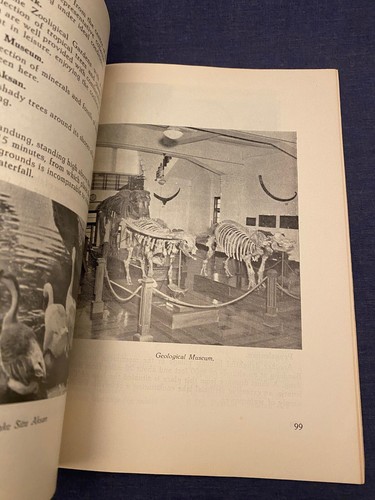 1952 Short Guide Djakarta Bogor Bandung Indonesia Maps Photo History Culture - Picture 6 of 13