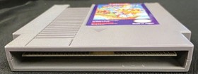 Disney's DuckTales w/ Manual (Nintendo Entertainment System, NES, 1989) Tested