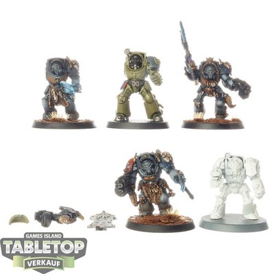 Space Wolves - 5x Terminator Squad klassisch - teilweise bemalt
