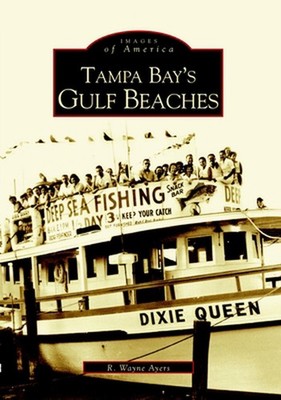 Tampa Bay's Gulf Beaches by R. Wayne Ayers (English) Paperback Book