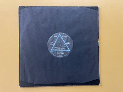 The Dark Side of the Moon [LP] by Pink Floyd (Vinyl, Apr-2003, EMI