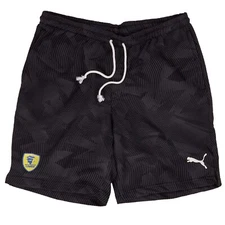 PUMA RHEIN NECKAR LÖWEN RNL CASUALS SHORT S-XXXL NEW 35€ handball sport training