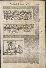 1552 Woodcuts Fantastic Creatures Unicorn Monsters Mythology