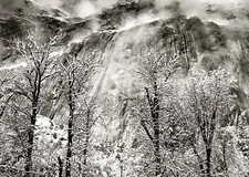 1935/80 Vintage ANSEL ADAMS Landscape Yosemite Eagle Peak Tree Tritone Photo Art
