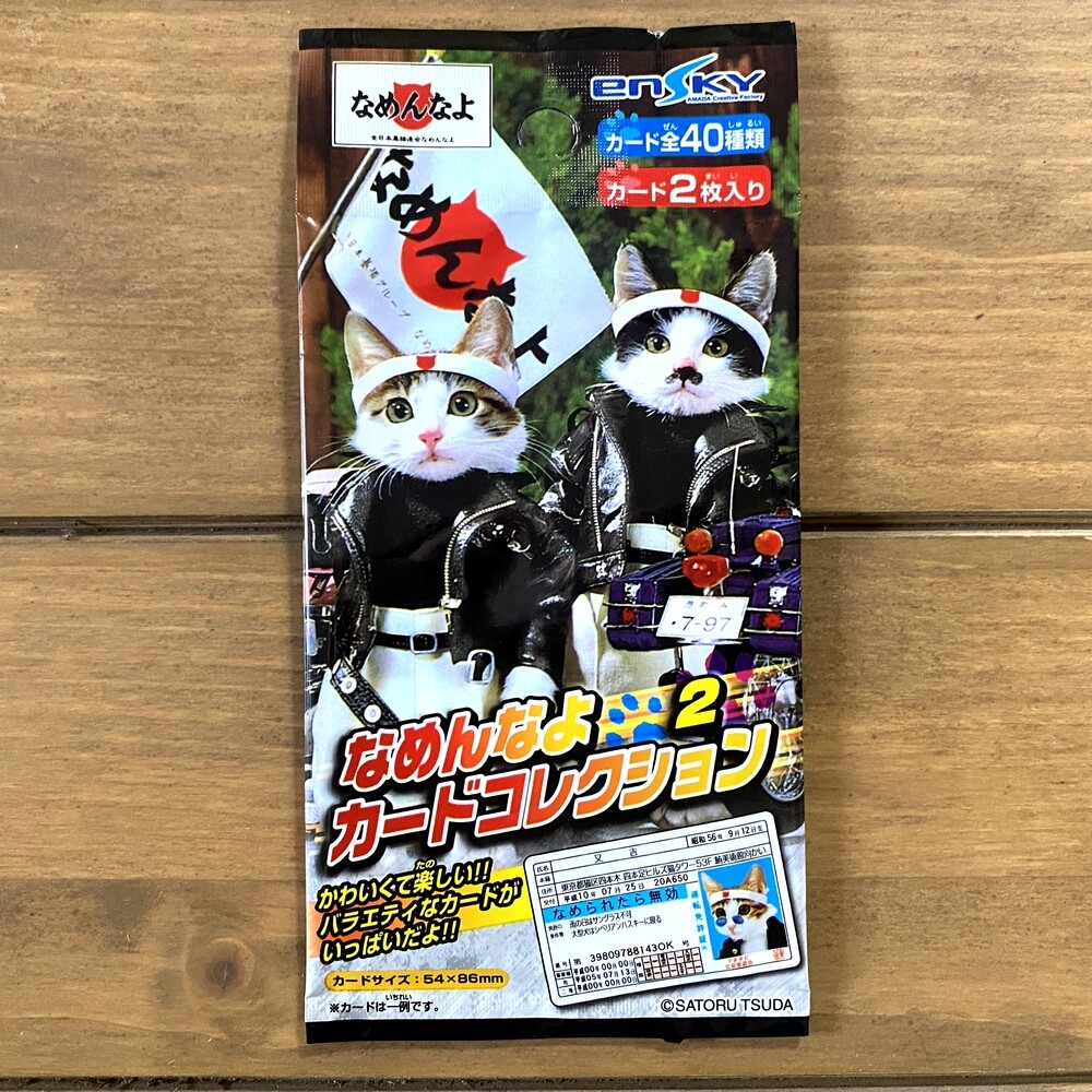 タレントカード RT-201364 Yankee Cat Nameneko Driver's license style Card Collection 2 [x2