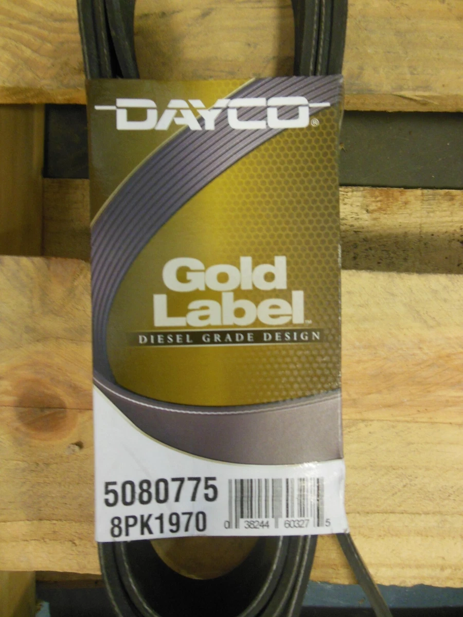 DAYCO #5080775 GOLD LABEL SERPINTINE BELT-free shipping | eBay