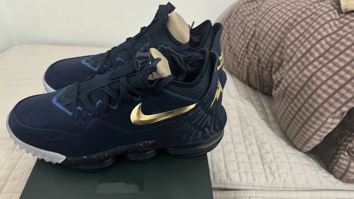 Preços baixos em Nike Titan x LeBron 16 Low Agimat | eBay