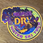 Vintage Michelob Dry Water Ski Tour Metal Tin Tacker Beer Sign 1991 Promo - RARE