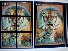 Vintage 1970s Hoyne Industries Mirror Tiles Wall Mural Mirro-scene Tigers 32x26