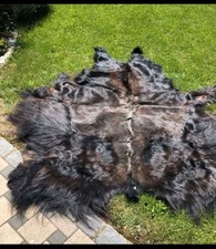 Rinderfell vom Yak aus eigener Aufzucht 