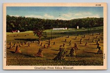 Greetings from Edina Missouri MO Vintage Postcard View Farm Fields