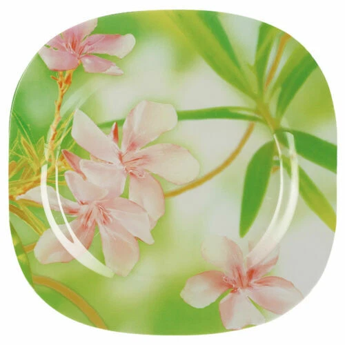 Assiettes de table Luminarc