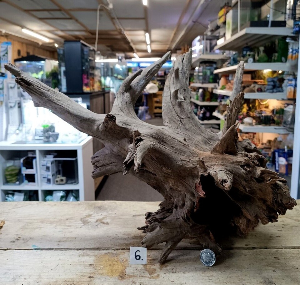 Large Corbo Root Aquarium Bogwood Vivarium Root Driftwood Catfish Cave