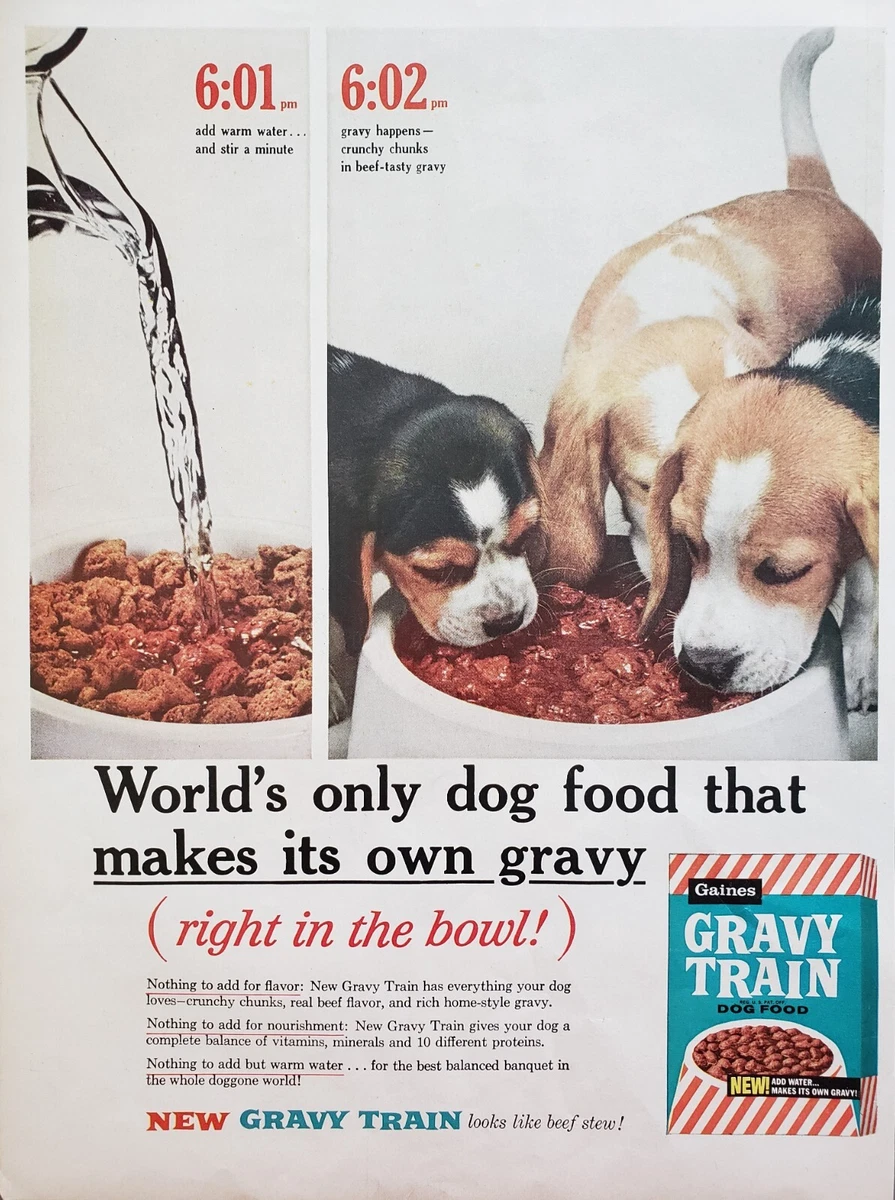 Should I Put Warm Water On Dry Dog Food