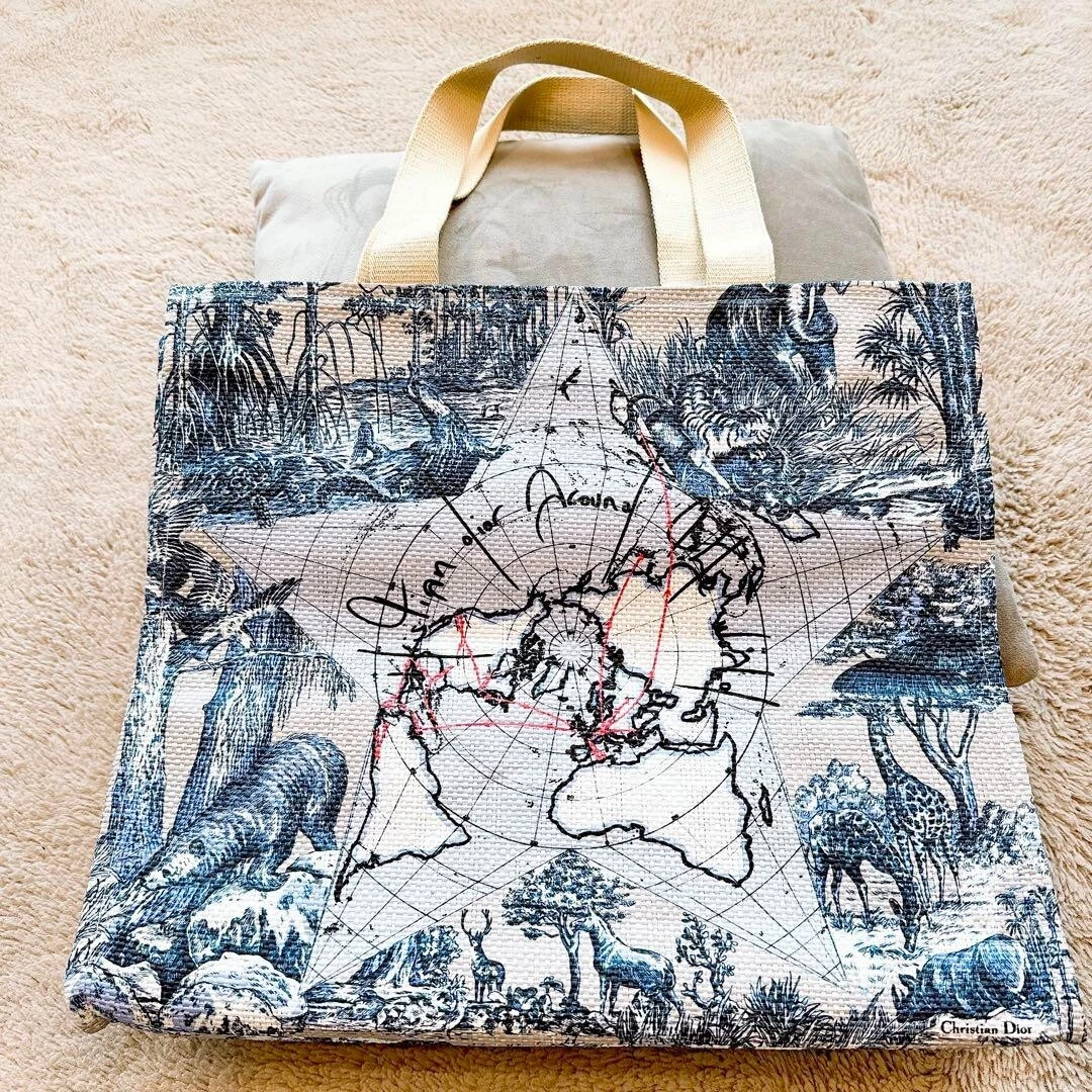 Sac fourre tout livre Christian Dior toilette de Jouy étoile chanceuse 37 x 42 x 15cm 2024 cadeau VIP
