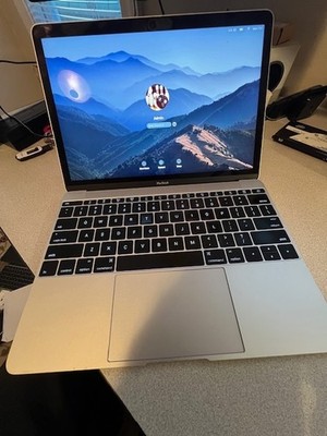 Apple MacBook 12 in 2015 Silver/Intel Core M 1.1 GHz, 256 GB 8 GB