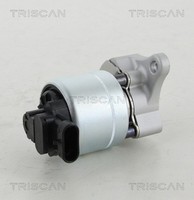 Triscan AGR Ventil 8813 28008 FüR Peugeot 206 SW C5 3E Fiat 307 CC CitroËN 406 1