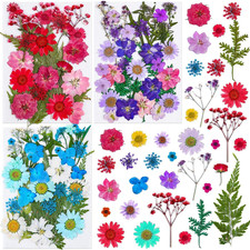 100Pcs Dried Pressed Flowers for Resin Crafts, Small Dried Flower Natural Herbs