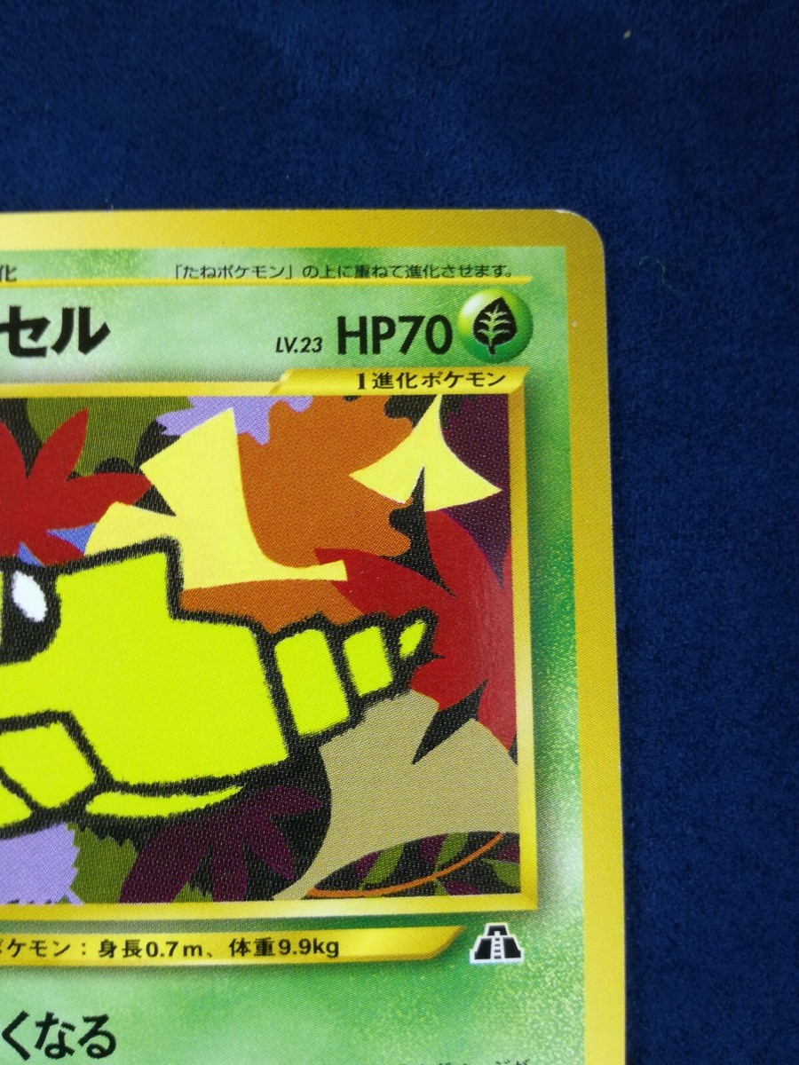 マジックポット Metapod | Pokemon card #011 Lv.23 HP70 Nintendo Pokémon TCG
