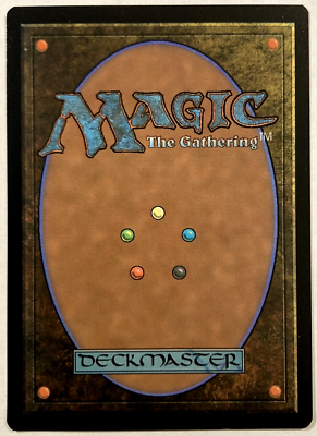 MTG Forest *FOIL* Secret Lair Drop Raining Cats and Dogs 1515 NM