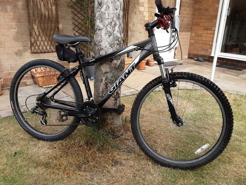 Giant Mountain Bike | eBay