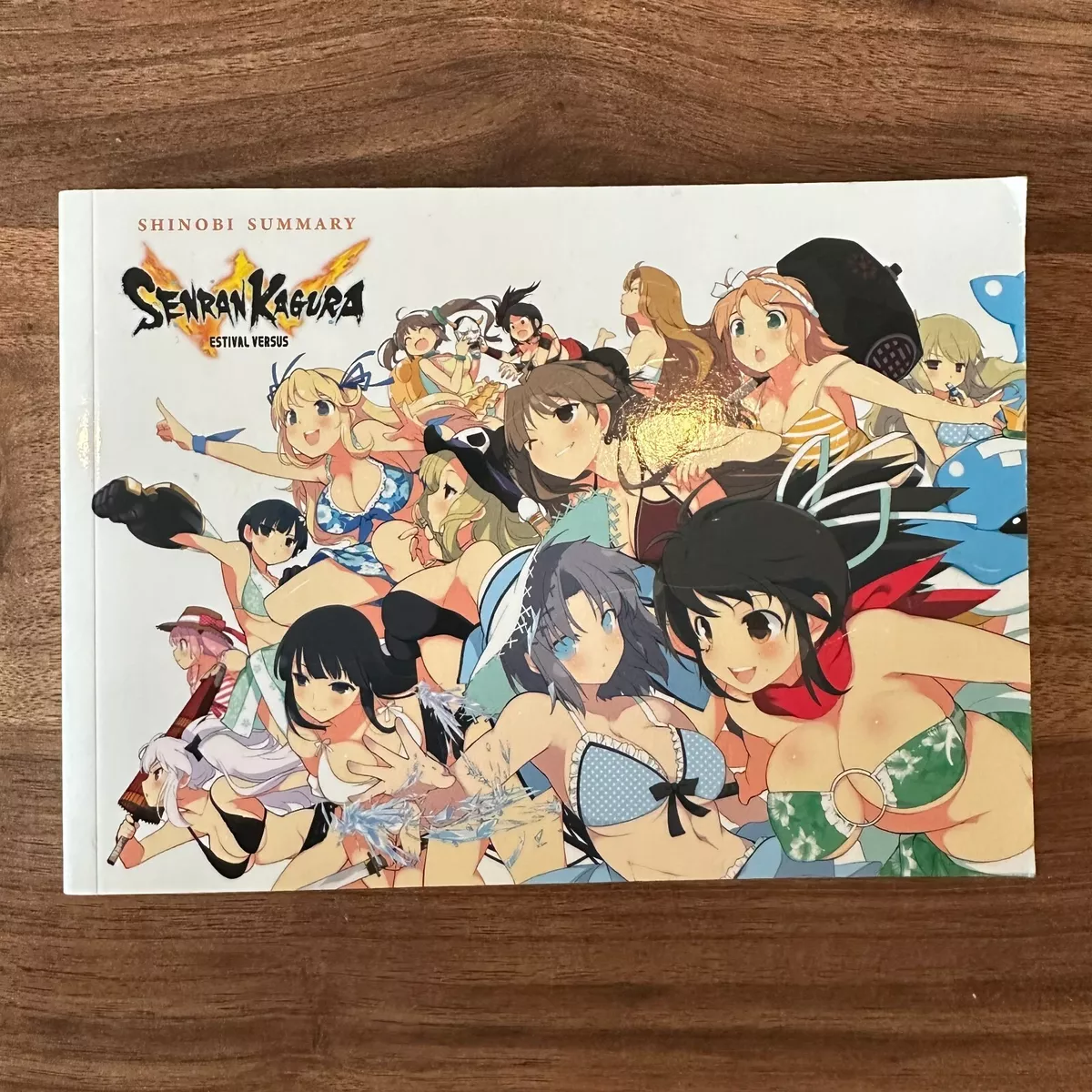 SENRAN KAGURA ESTIVAL VERSUS – Shinobi Summary Art Book