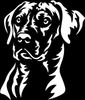 RHODESIAN RIDGEBACK Aufkleber -  Autoaufkleber - sticker - Ridgeback Kopf #13 - Bild 1 von 3