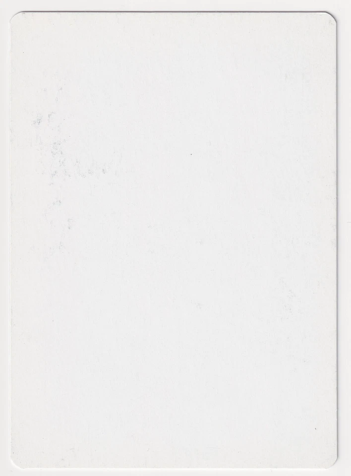 Silver Signed Chronomantic Escape Proof LP Artist Franz Vohwinkel MTG Magic AP! - Image 2 of 2