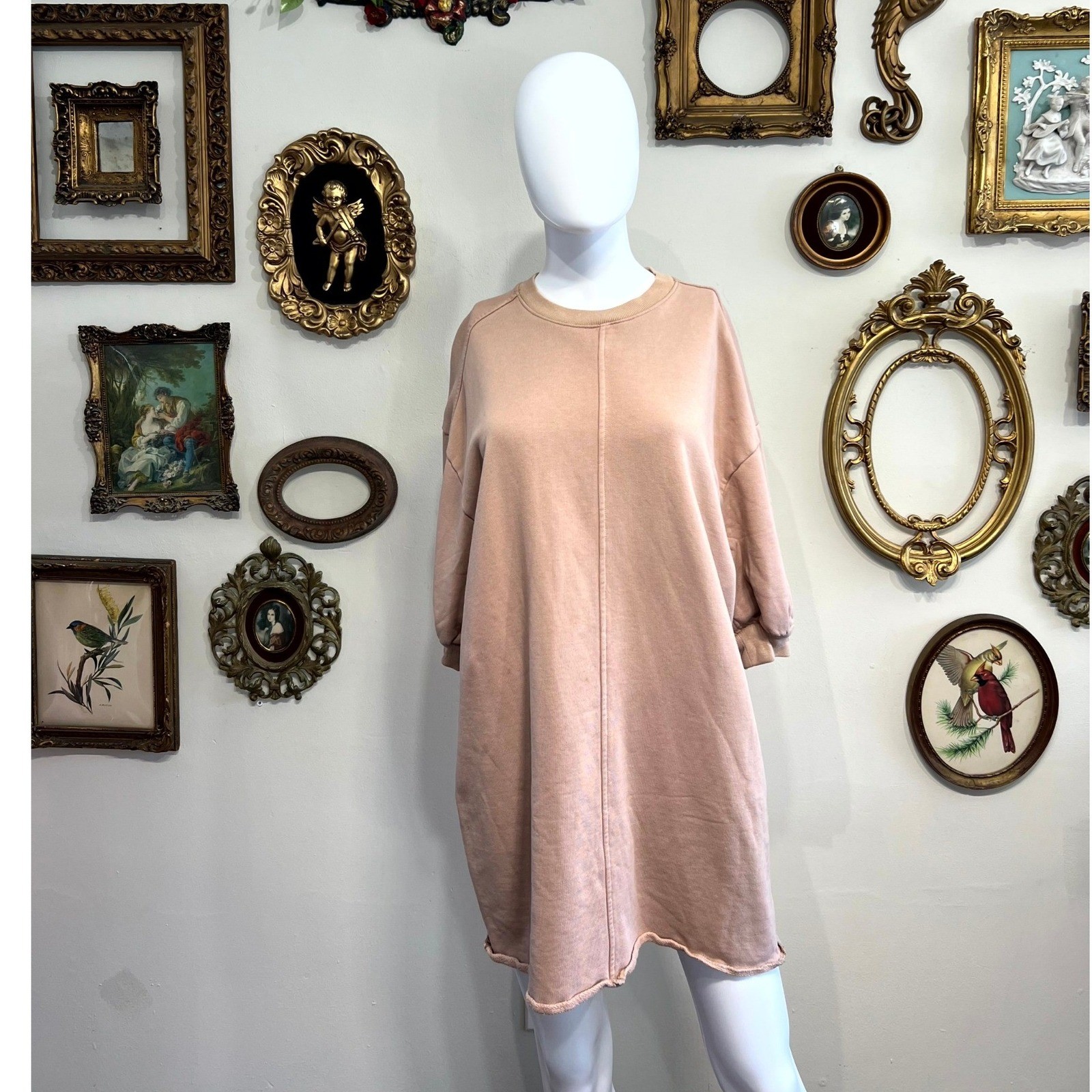 Everlane Organic Cotton Sweatshirt Dress XS