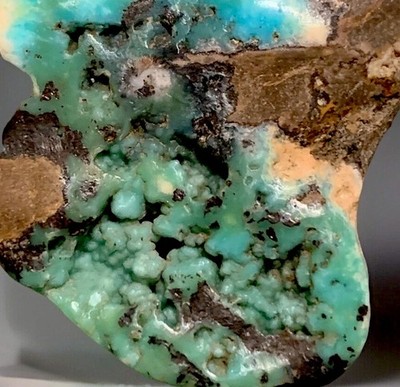 8 grams Super Rare Botryoidal Gem Grade Clara Mine, NV Turquoise