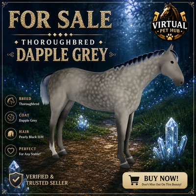 Wild Horse Islands - Thoroughbred IUH - Pearly Black - Dapple Grey Coat -