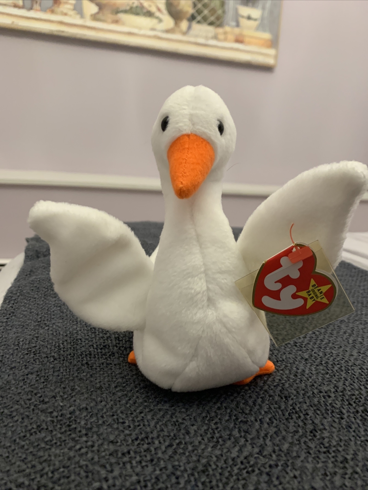gracie beanie baby