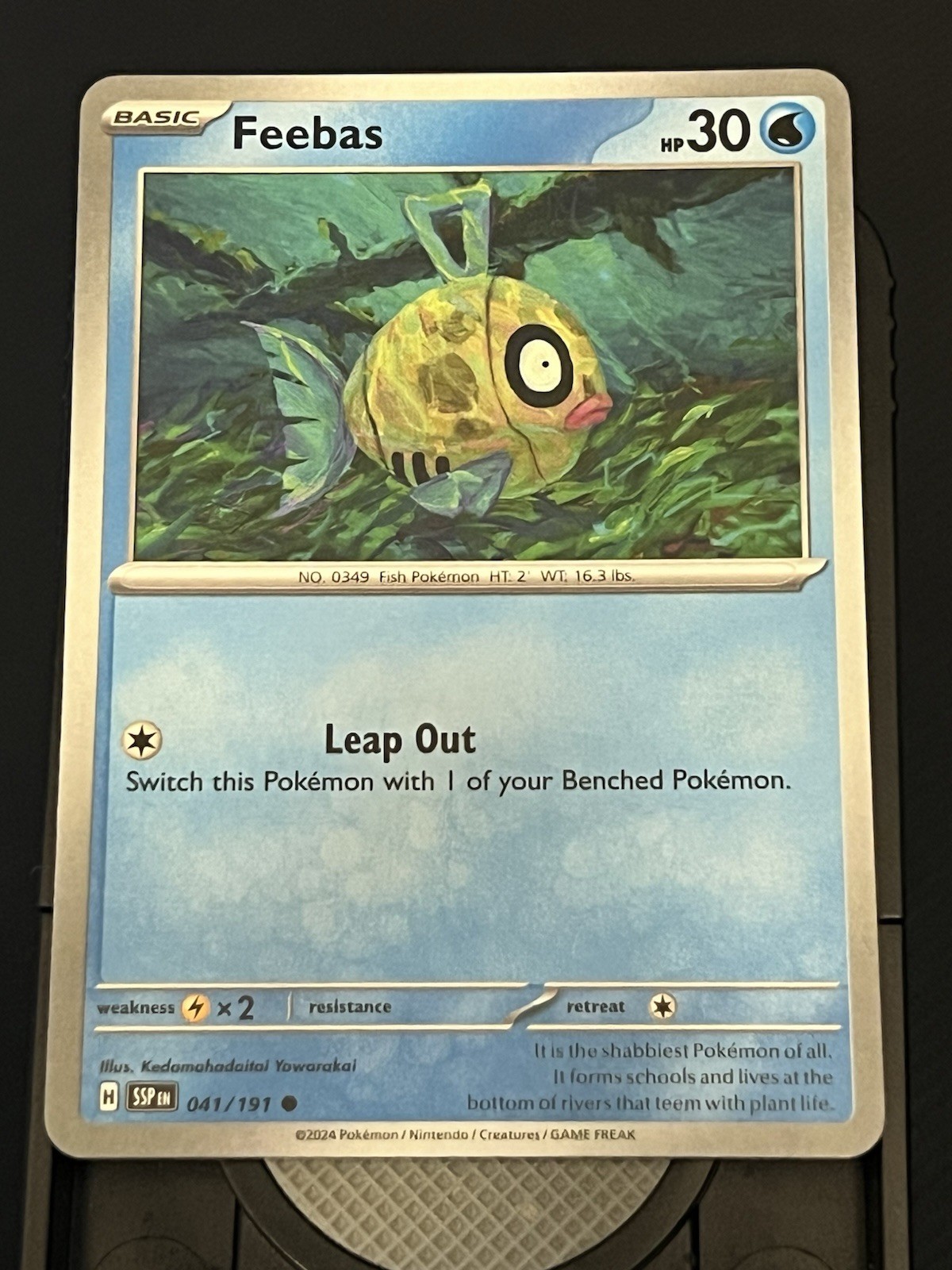 Feebas - 041/191 - Common - Near Mint