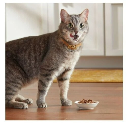 Comida húmeda para gatos Meow Mix Tender Favorites, paquete de variedad tazas de 2,75 onzas (12 quilates) Foto 4 de 4