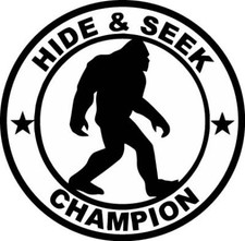 Hide And Seek Champion Vinyl Decal Car Truck Window Graphics Stickers Hide And Seek Champion Vinyl Decal Car Truck Window Graphics Stickers