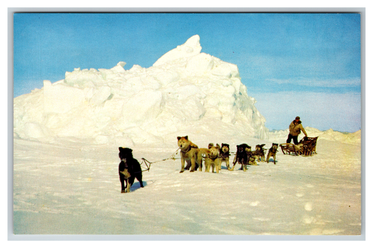 Dog Sled Team on Artic Ocean Ice in Northern Alaska Postcard Unposted