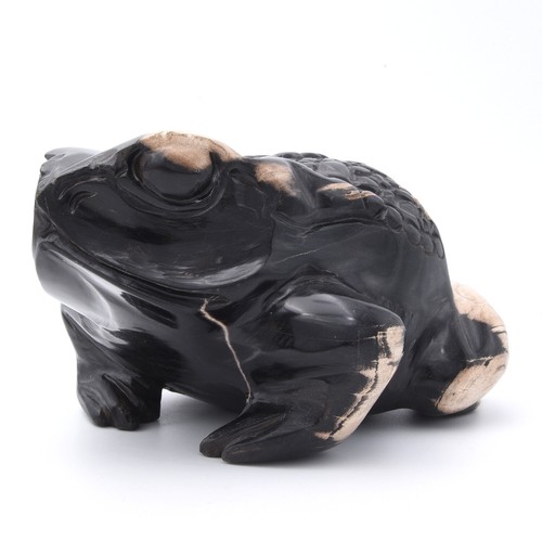 160mm Frog Hand Carved Gemstone Natural Fossilised Wood Healing Crystal Genuine - Picture 2 of 7