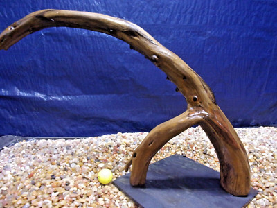 XX-Large Driftwood Mounted on Slate 18''x30''x04'' Aquarium Reptile Natural Art