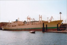 Photo print: freighter/cargo ship Amona