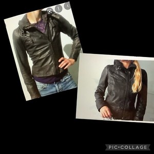 allsaints belvedere jacket