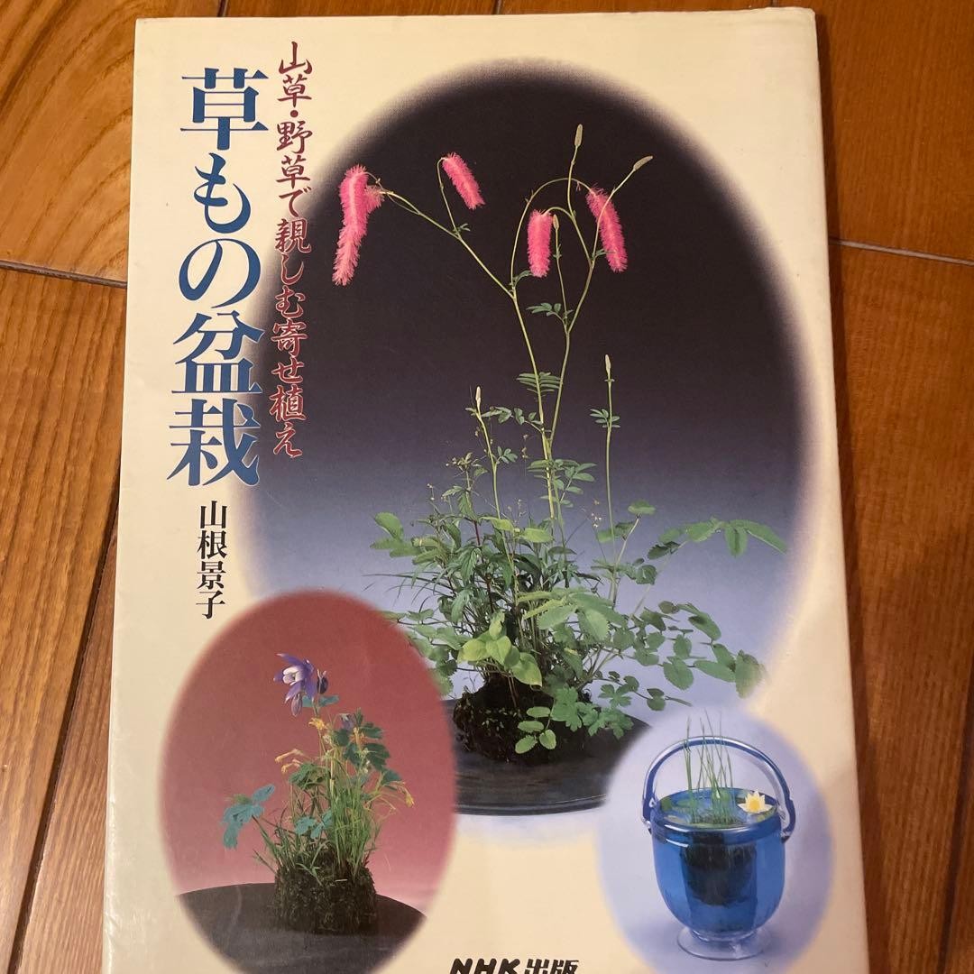Plant Bonsai Kusamono Techniques Keiko Yamane  NHK Publishing Guide Book