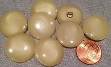 8 Shiny Pearlized Beige Plastic Shank Buttons Just Over 13/16" 21.8mm # 7517