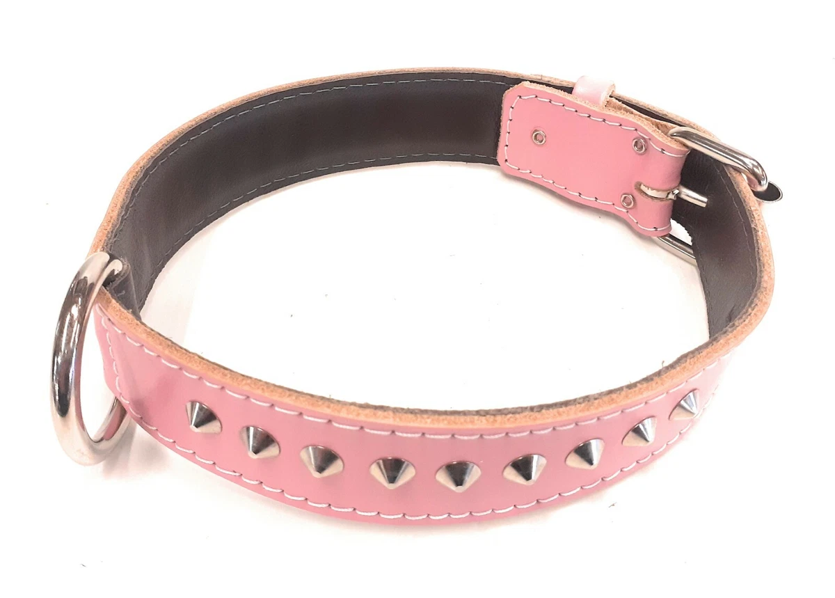 1.25 Inch Wide Baby Pink Studded Leather Dog Collar Suitable for Many Dog Breeds