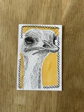ACEO Original Art Card Ostrich Bird Sketch, Alcohol Marker, Bright Graphic