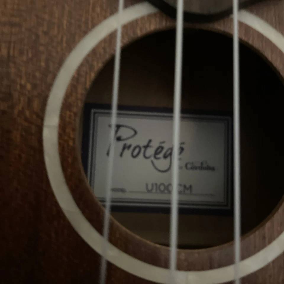 Ukele com Estojo: Concerto Tamanho:Protege por Cordoba Modelo U100CM Excelente Estado - Imagem 2 de 4