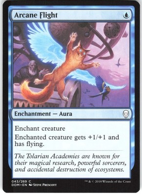 Arcane Flight 43 Dominaria DOM C MTG Magic The Gathering C LP