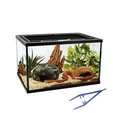 Reptile Glass Tank 16"x11"x9" Terrarium with Top Opening and Screen Ventilati...