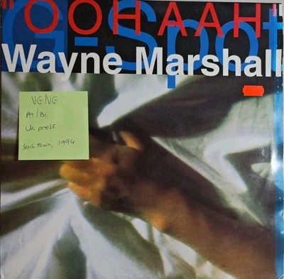 Wayne Marshall Ooh Aah Vinyl Record VG/VG SOUL120032 1994