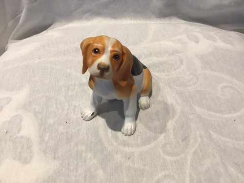 teddy the beagle